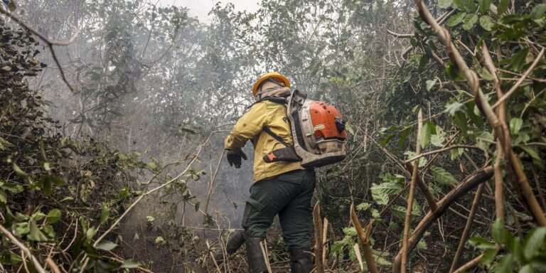 Combate a incêndios florestais podem ter recursos do Fundo Amazônia