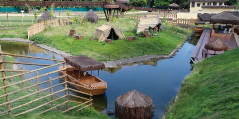 Galinhas d'angola do Bioparque no Rio morreram de gripe aviária