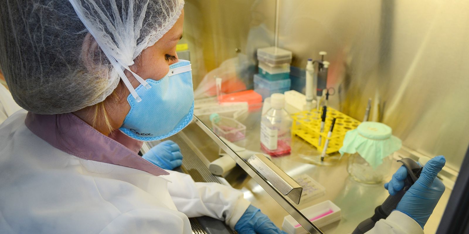 USP: pesquisa de vacina contra zika avança em testes com camundongos