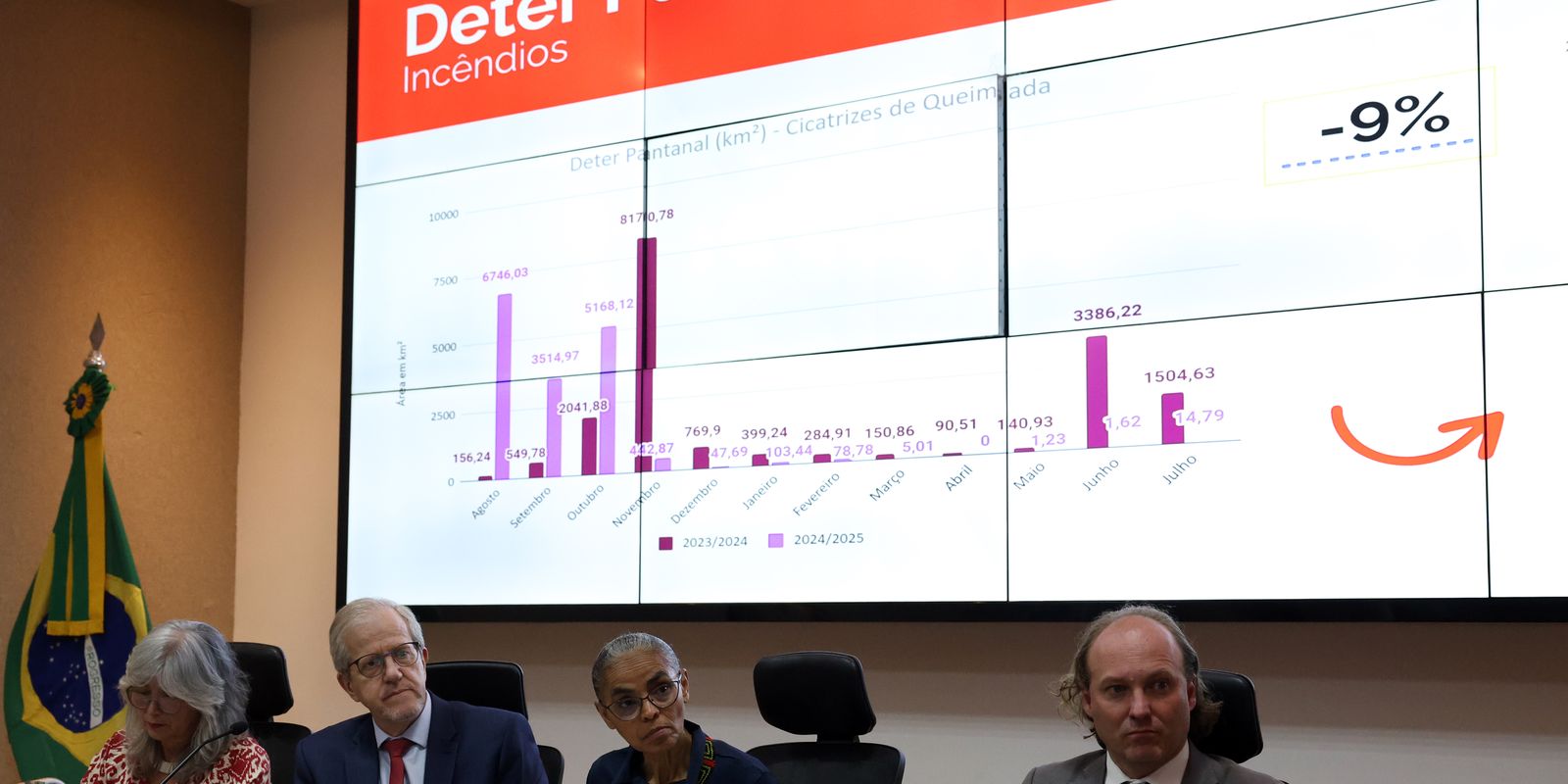Cerrado e Pantanal registram redução de áreas desmatadas