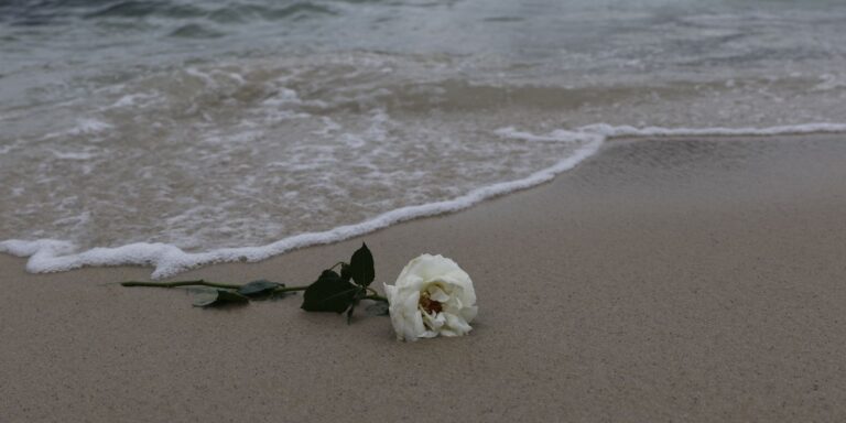 Fortaleza celebra Dia de Iemanjá com festejos pela cidade