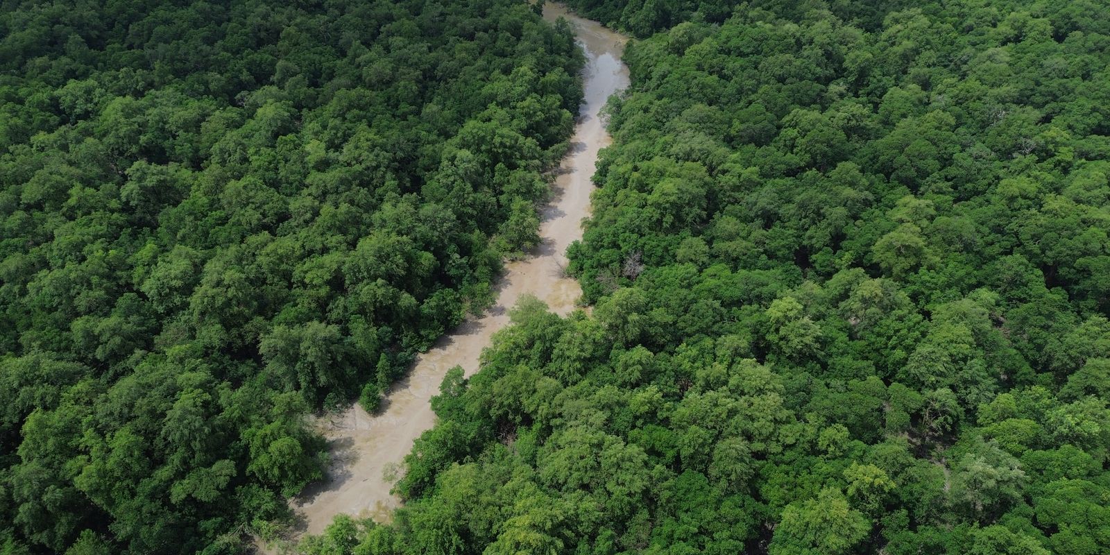 Tratado de Cooperação Amazônica reforça compromissos da COP30