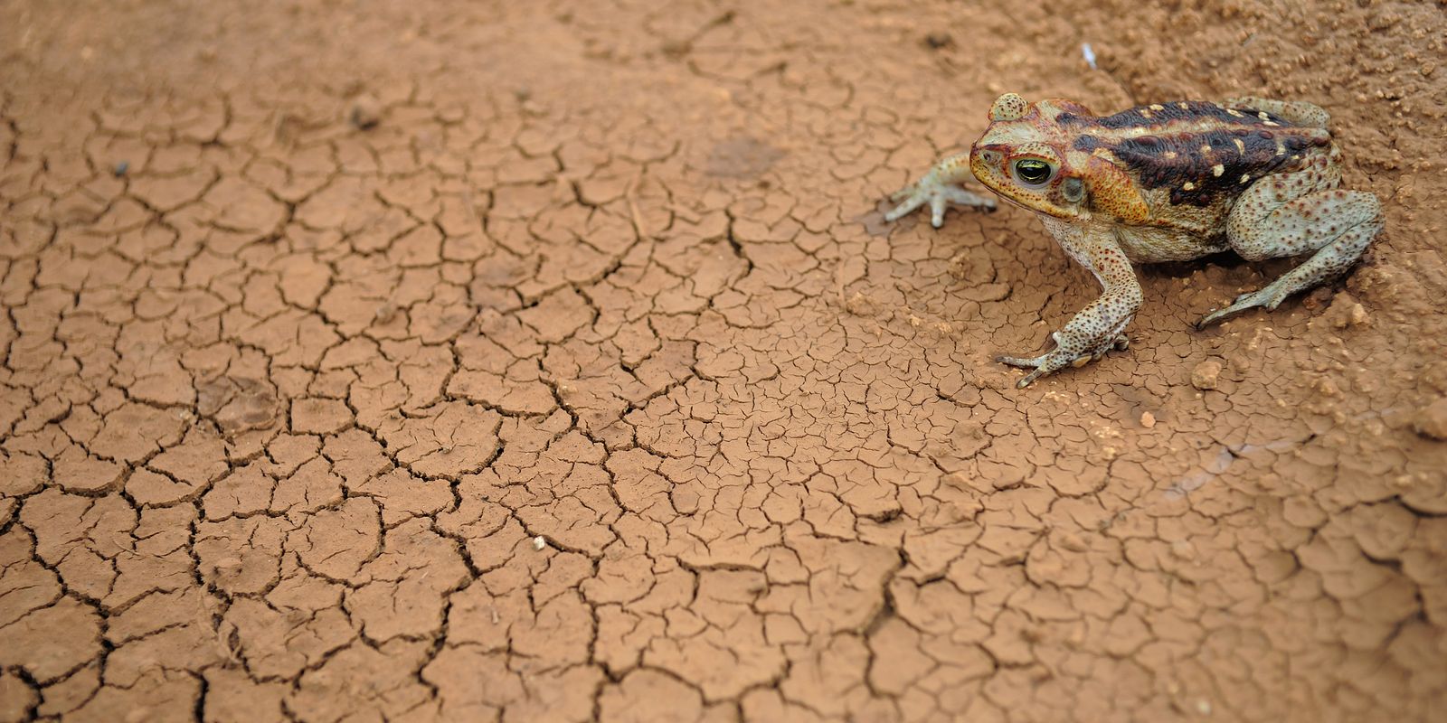 Doze cidades em estado de emergência por excesso ou falta de chuva