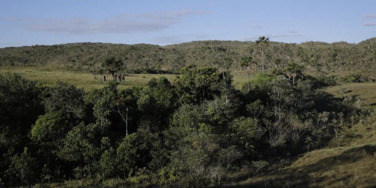 Viva Maria reforça campanha pela proteção do Cerrado