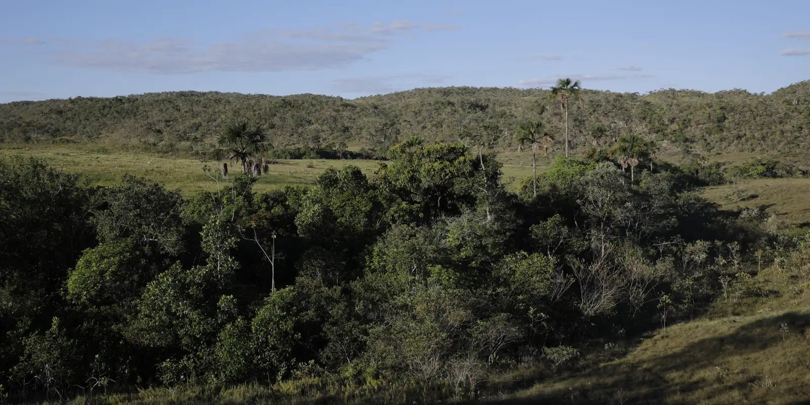 Viva Maria reforça campanha pela proteção do Cerrado