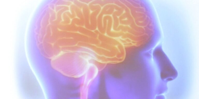 AVC mata uma pessoa a cada seis minutos no Brasil