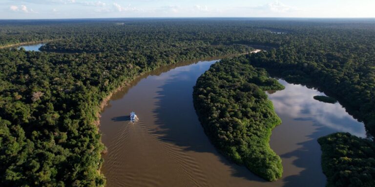 Amazônia Legal teve uma redução de 11,08% no desmatamento em um ano