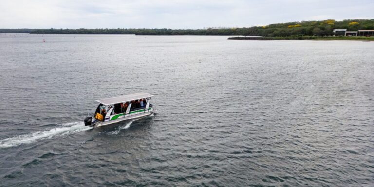 Busca de modelo de desenvolvimento sustentável é desafio na COP30