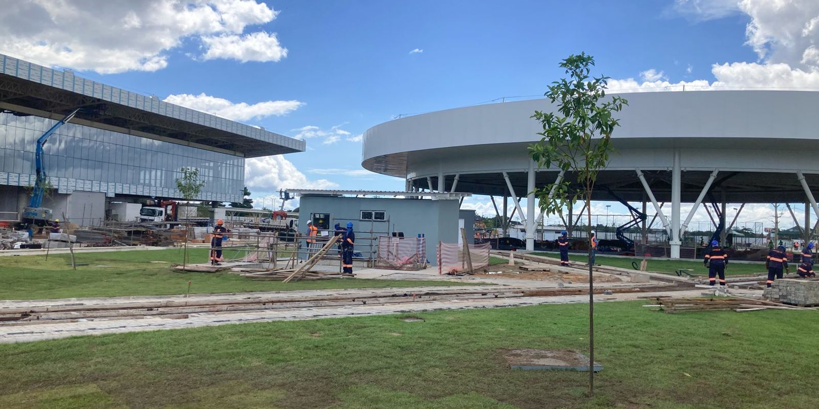 Casas feitas com cimento de caroço de açaí serão construídas em Belém