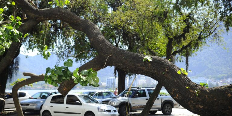 Cidades Verdes, do Ministério do Meio Ambiente, recebe 323 iniciativas