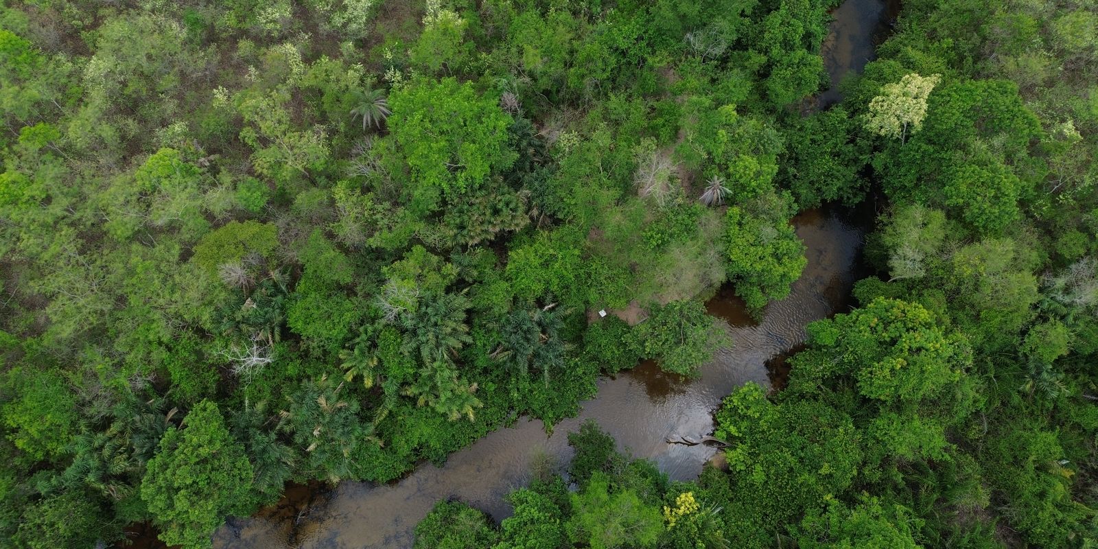 Fronteira Cerrado: ativistas querem bioma "igualado" à Amazônia