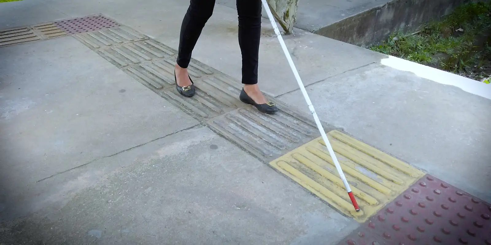 Hoje é Dia: Dezembro Vermelho, pessoas com deficiência e samba em foco