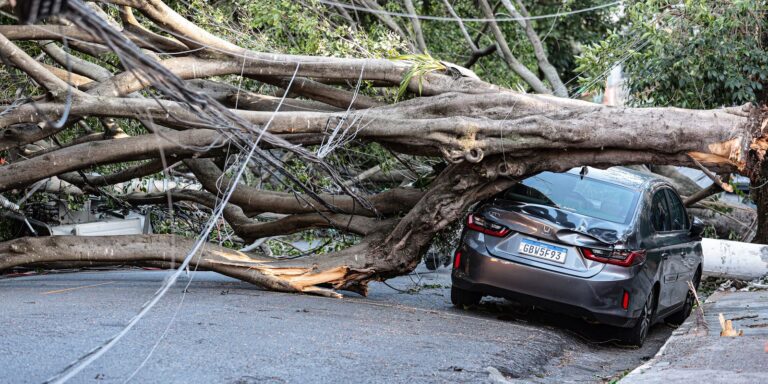 1,5 milhão de imóveis estão sem energia em SP após passagem de ciclone