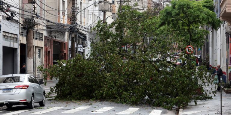 Defesa Civil de São Paulo alerta para risco de deslizamentos de terra