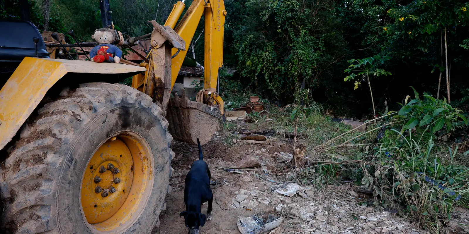 MG: mais de 400 produtores rurais foram prejudicados pelas chuvas