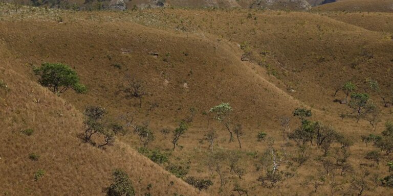 MapBiomas: fragmentação de áreas naturais quase triplicou em 40 anos