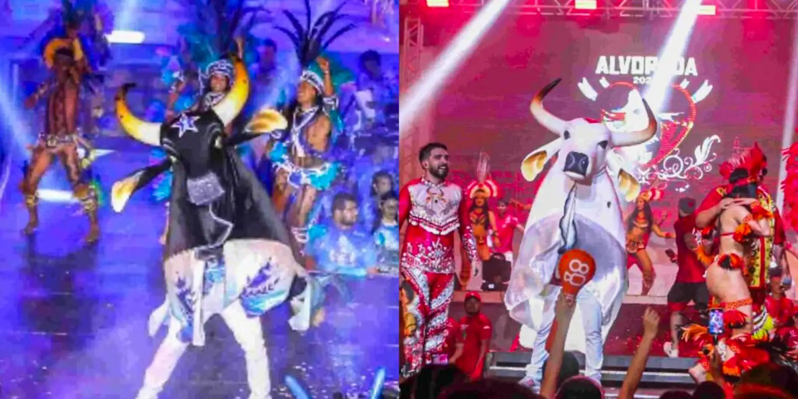 Caprichoso e Garantido disputam 59ª edição do Festival de Parintins