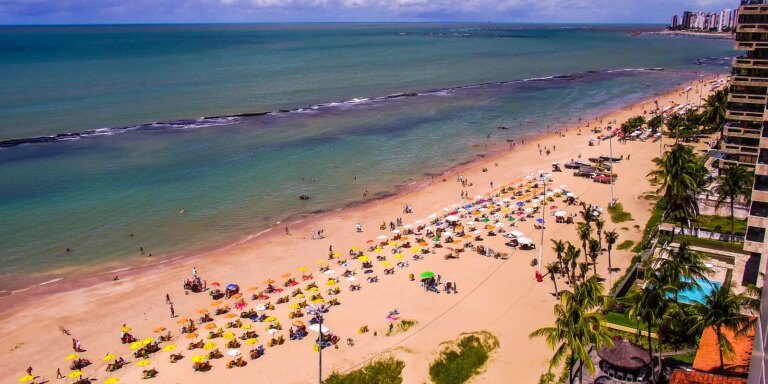 Pernambuco volta a monitorar tubarões na orla após 10 anos