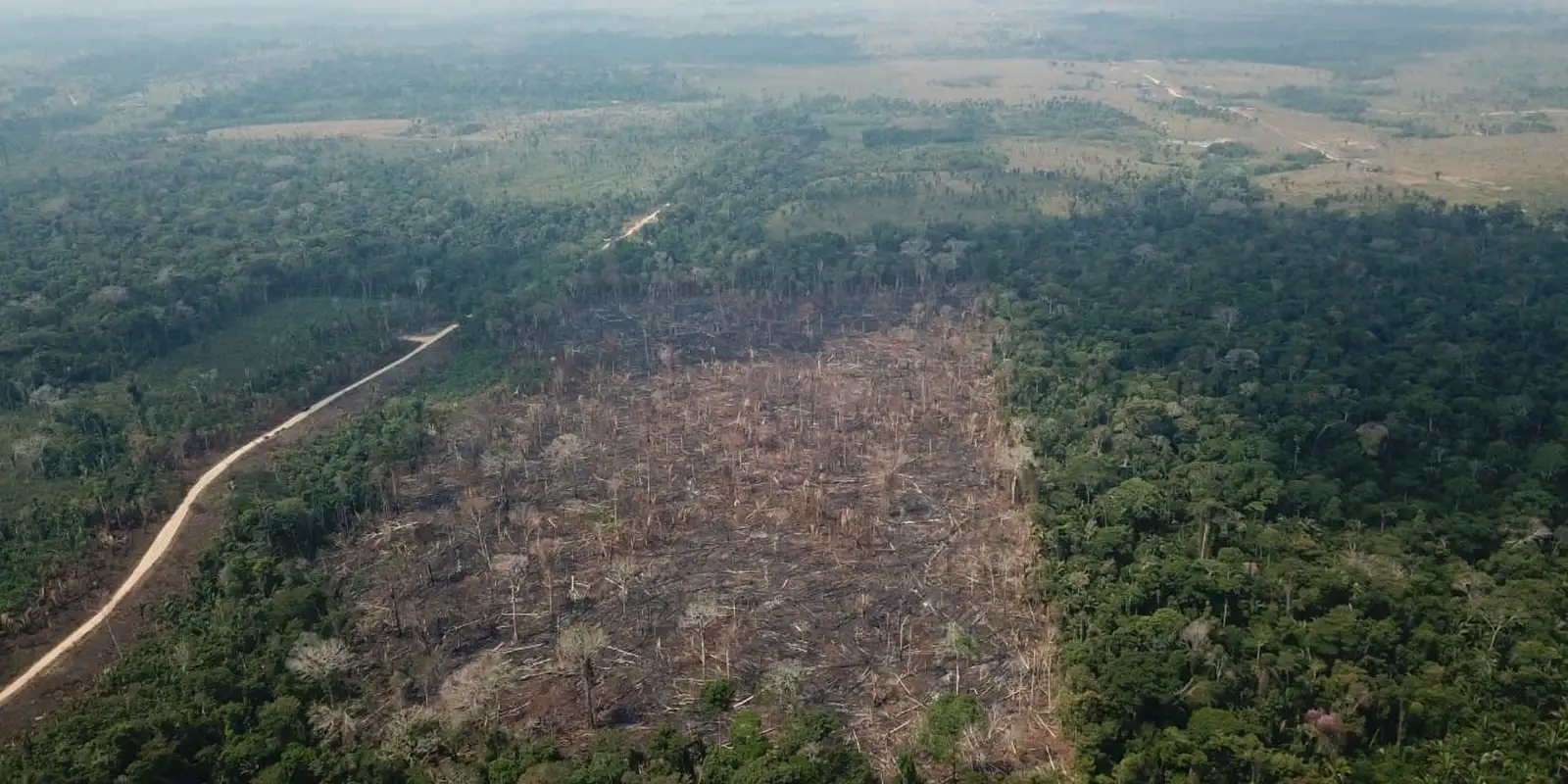 Amazônia registra queda de 35% nos alertas de desmatamento em junho