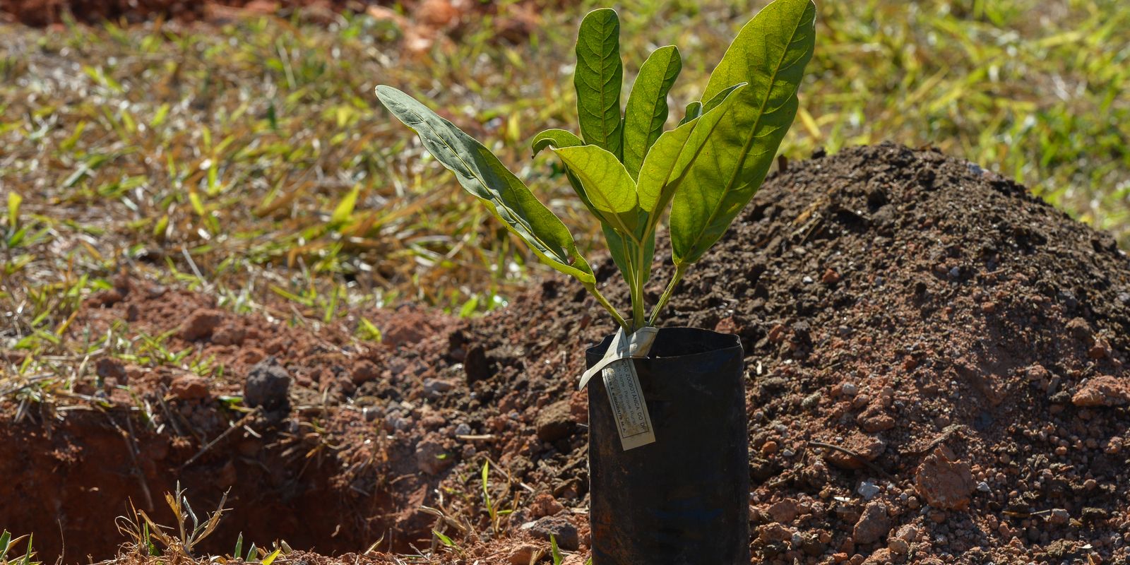 Sesi Lab inaugura espaço que abriga sistema agroecológico educativo