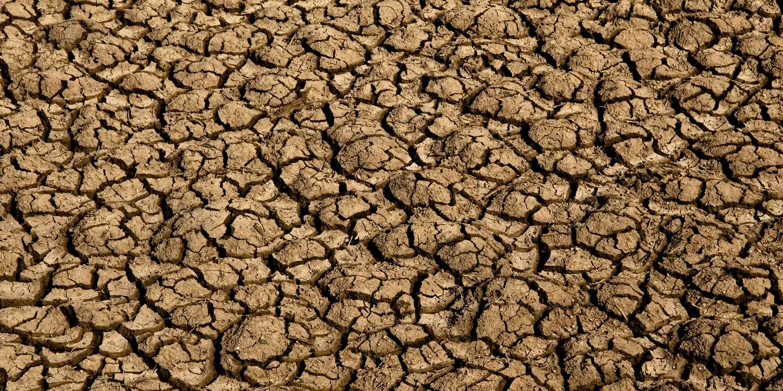 El Niño: entenda o fenômeno que intensifica os fenômenos climáticos