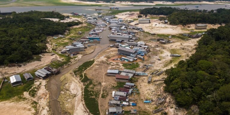 Municípios do Amazonas tomam medidas preventivas contra a estiagem