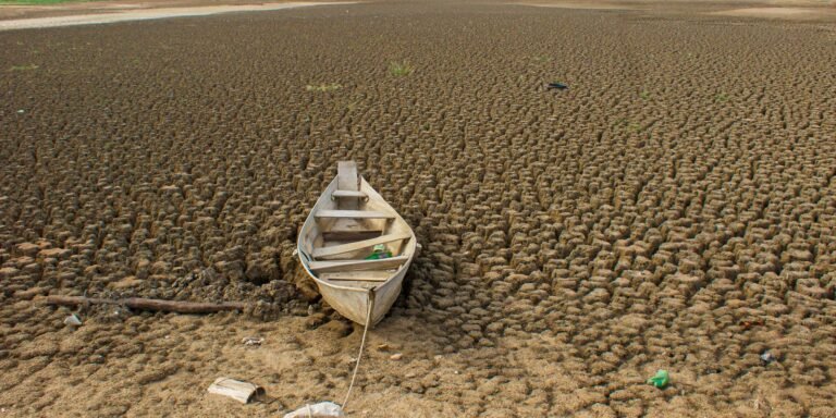 Dia da Amazônia é celebrado com El Niño e alerta de seca intensa