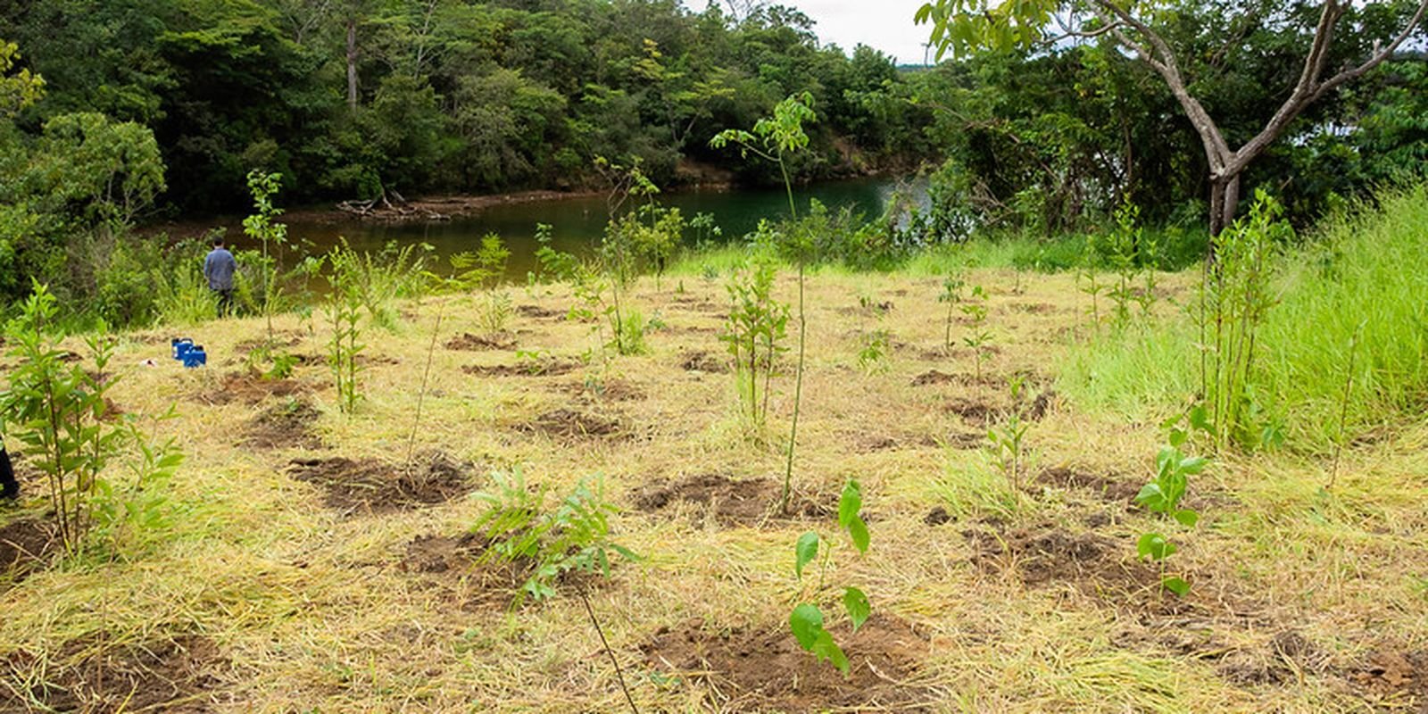 ECA Ambiental garante direito de acesso de jovens a áreas verdes