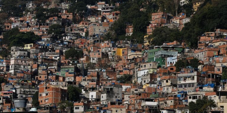 Favelas cariocas terão plano de arborização contra o calor extremo