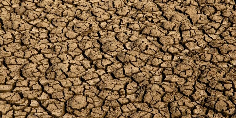 Seca provoca situação de emergência em 123 cidades do RN