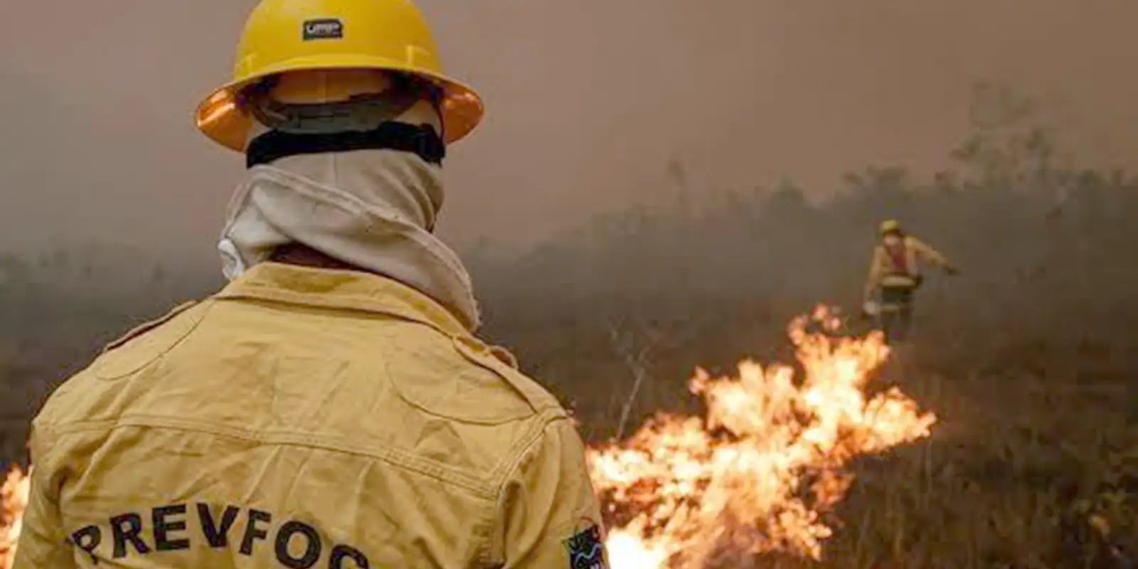 Governo faz força-tarefa e envia 11 aeronaves para combater fogo no AM