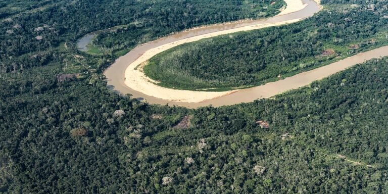 Inpe: desmatamento na Amazônia atinge menor nível de série histórica